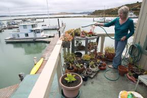 Point San Pablo Yacht Harbor resident's complain of firing range noise